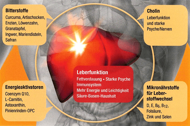 Vita Amaraxanthin – Bitterstoffe für Leber & Verdauung - Swiss Health Care AG