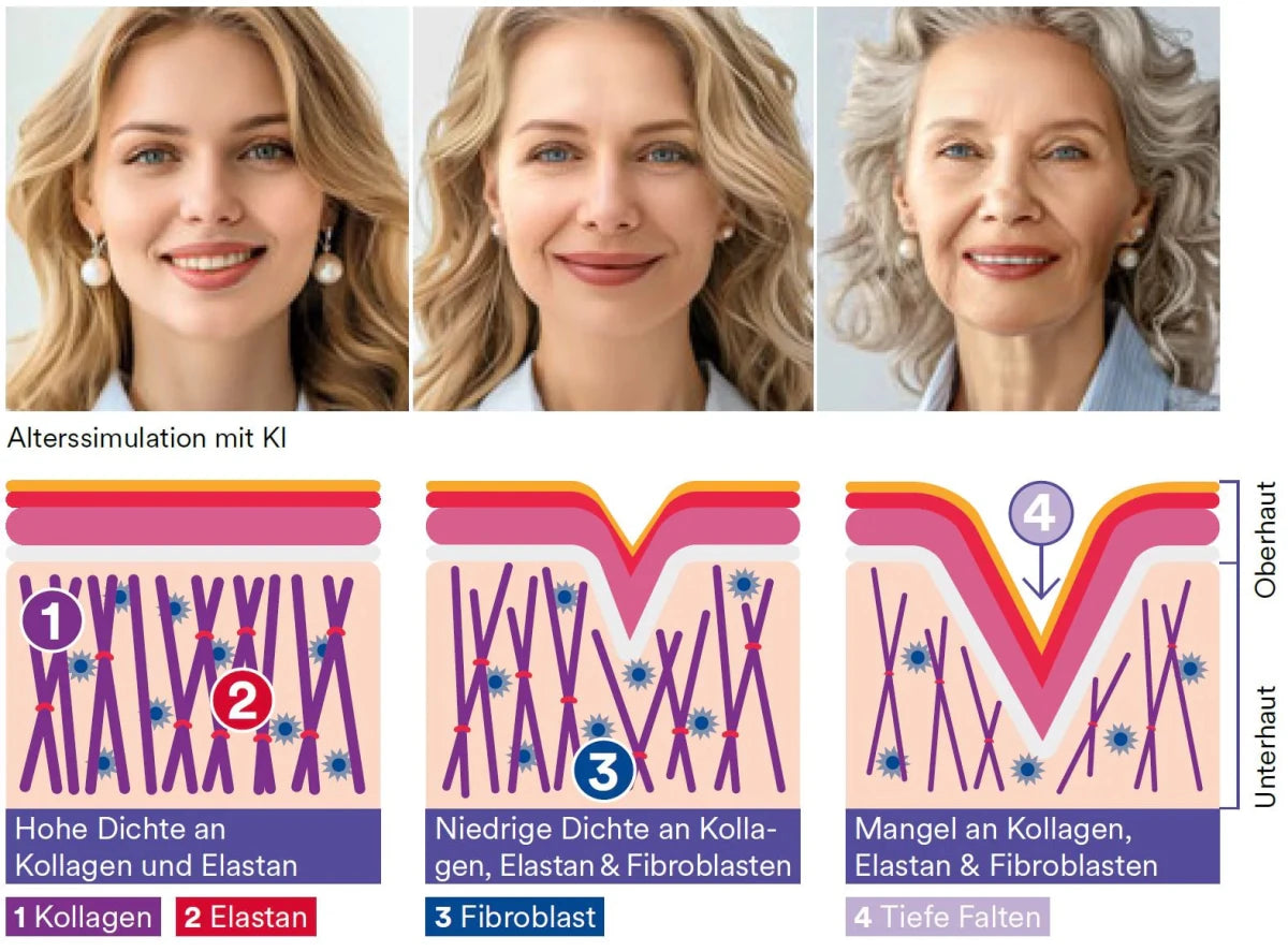 Vita Collagen Basic - Swiss Health Care AG