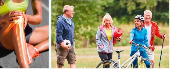 Vita Chondrocurma, Kapseln