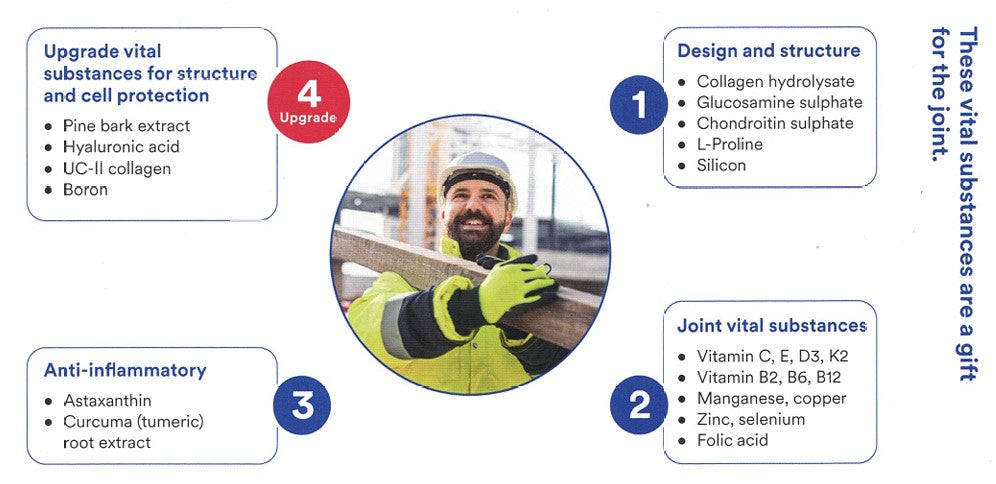 Vita Chondrocurma, Kapseln