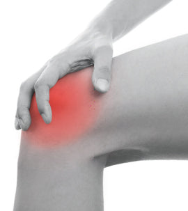 Vita Chondrocurma, Kapseln