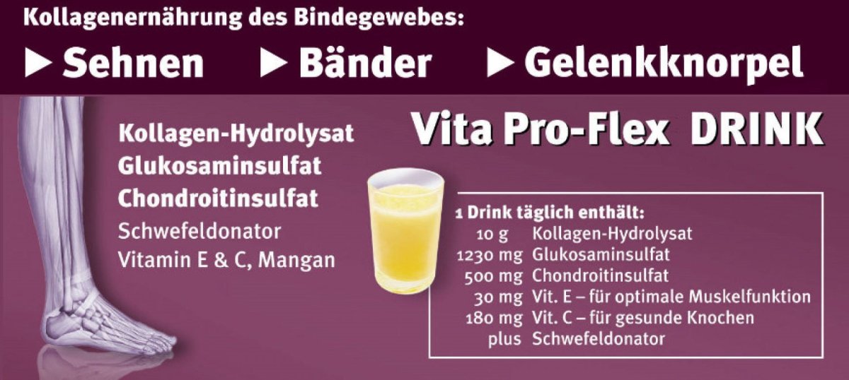 Vita Pro-Flex Drink - Gelenkschutz, Regeneration - Gelenkversorgung mit Kollagenhydrolysat - Swiss Health Care AG