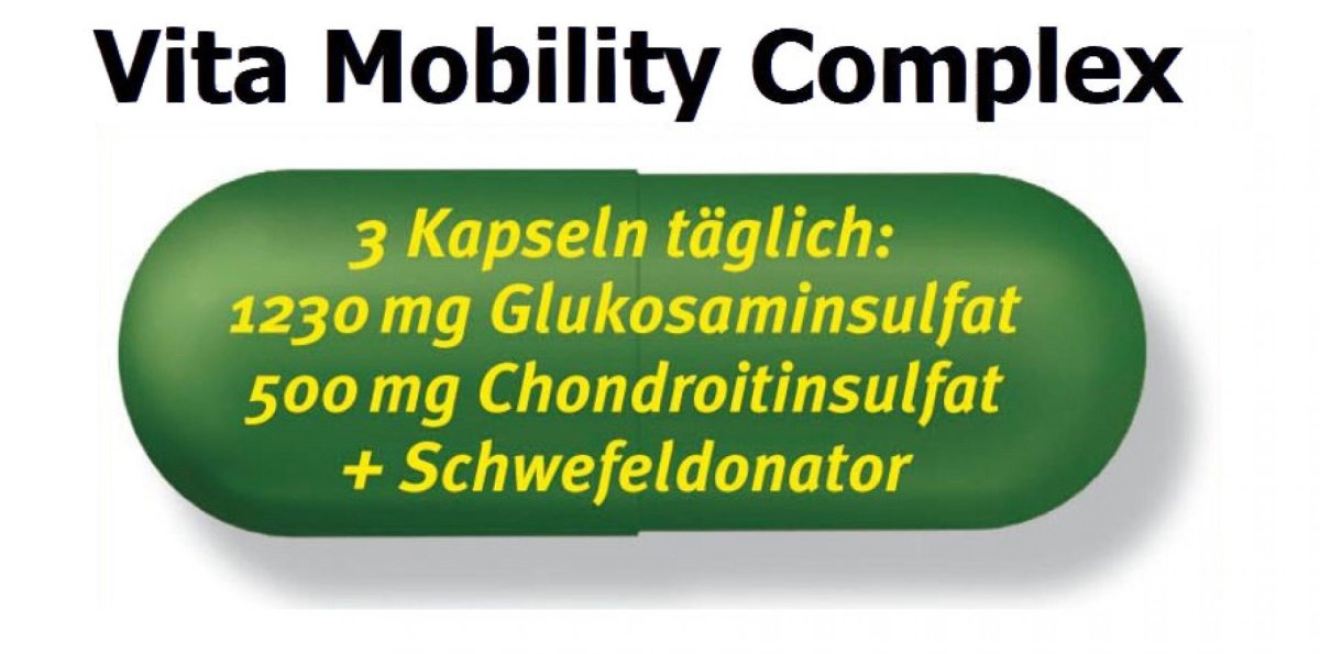Vita Mobility Complex – Glucosamin und Chondroitin Kapseln - Grundversorgung Gelenke - Swiss Health Care AG