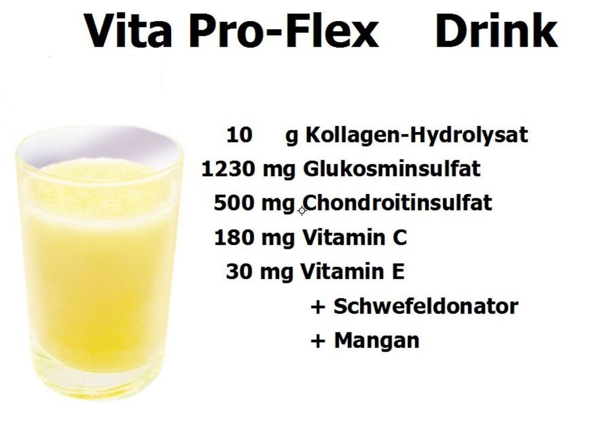Vita Pro-Flex Drink - Gelenkschutz, Regeneration - Gelenkversorgung mit Kollagenhydrolysat - Swiss Health Care AG