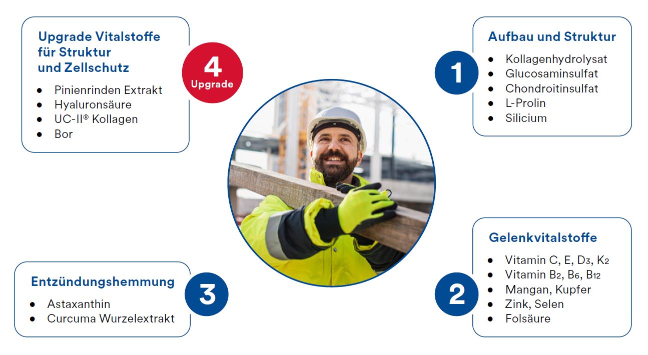 Vita Chondrocurma, Kapseln